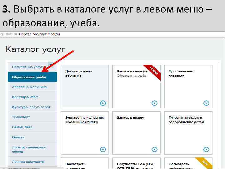 3. Выбрать в каталоге услуг в левом меню – образование, учеба. 