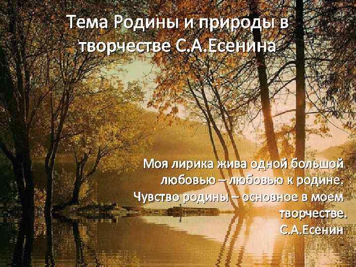 Тема Родины и природы в творчестве С. А. Есенина Моя лирика жива одной большой