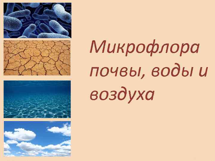 Микрофлора почвы, воды и воздуха 