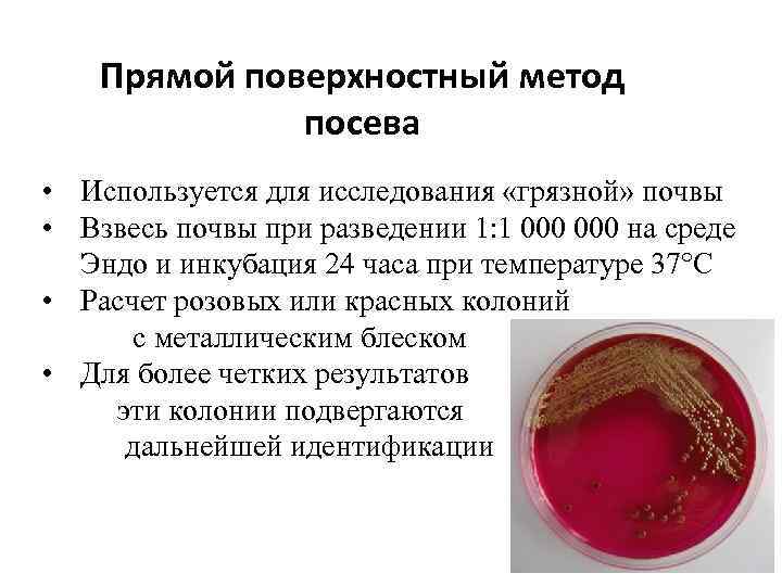 Прямой поверхностный метод посева • Используется для исследования «грязной» почвы • Взвесь почвы при