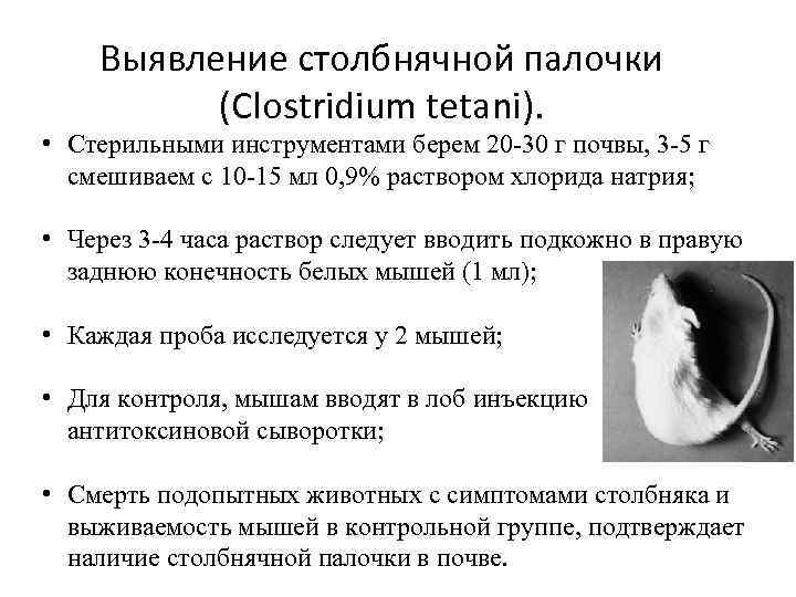Выявление столбнячной палочки (Clostridium tetani). • Стерильными инструментами берем 20 -30 г почвы, 3