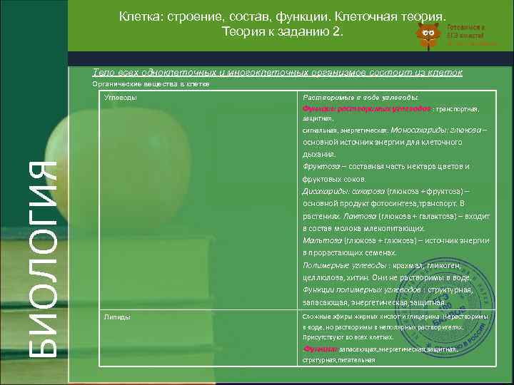 Клетка: строение, состав, функции. Клеточная теория. Теория к заданию 2. Тело всех одноклеточных и