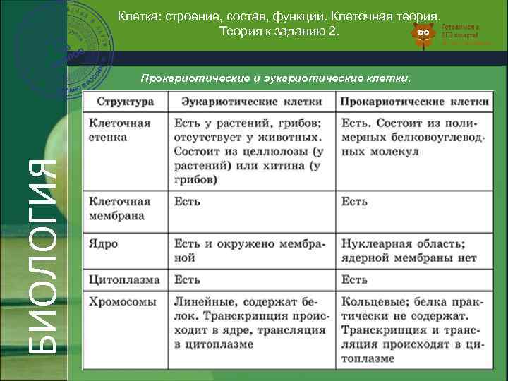 Клеточное ядро таблица. Строение эукариотической клетки таблица 10 класс биология. Таблица по биологии строение эукариотической клетки. Строение эукариотической клетки таблица. Строение и функции эукариотической клетки таблица.