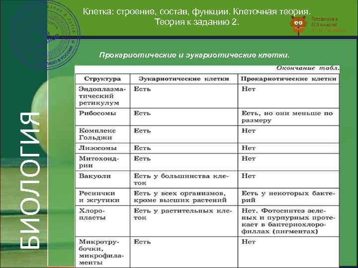 Клетка: строение, состав, функции. Клеточная теория. Теория к заданию 2. БИОЛОГИЯ Прокариотические и эукариотические