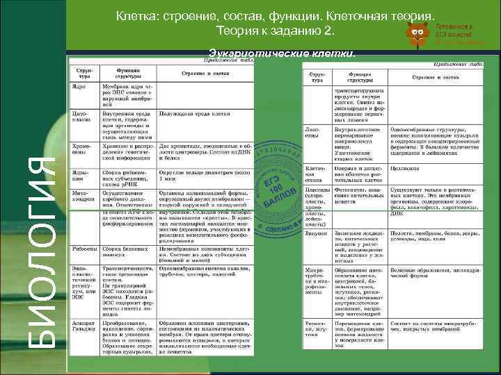 Особенности строения клеток таблица