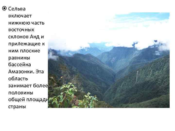 Загадка восточный склон мон. Анд Перу Восточная часть страны Сельва. Какие склоны анд более крутые западные или восточные. Экваториальные Анды из чего состоят. Какие слоны склоны анд более крупные западные или восточные.