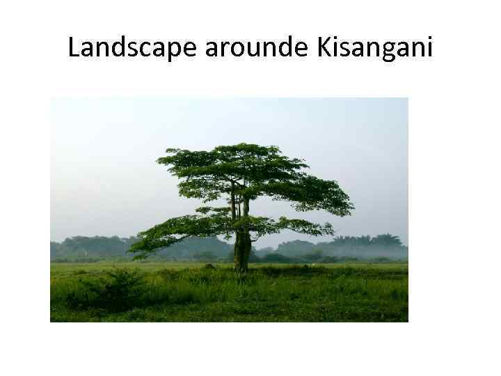 Landscape arounde Kisangani 