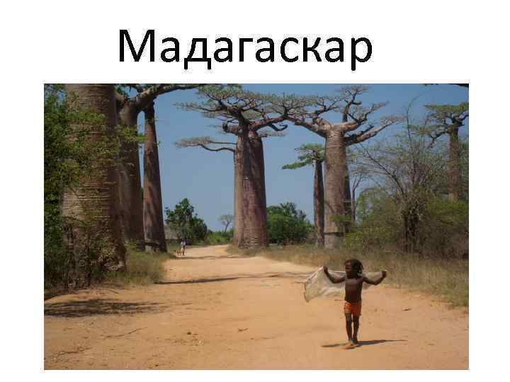 Мадагаскар 