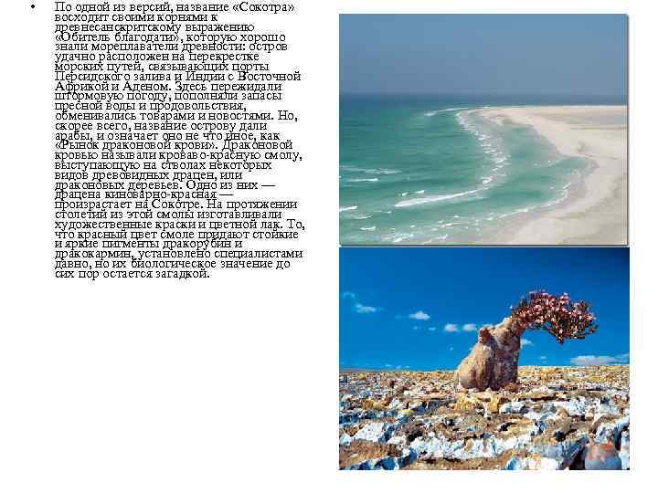  • По одной из версий, название «Сокотра» восходит своими корнями к древнесанскритскому выражению