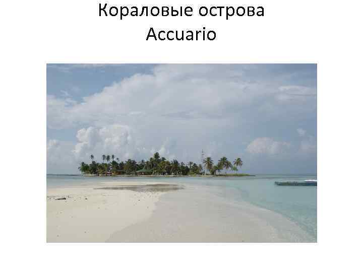 Кораловые острова Accuario 