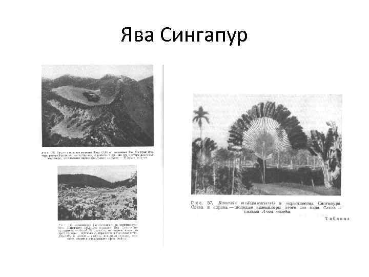 Ява Сингапур 