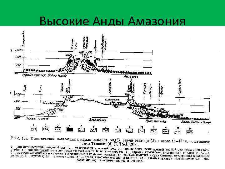 Высокие Анды Амазония 