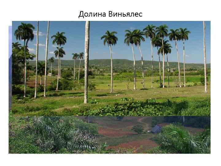 Долина Виньялес 