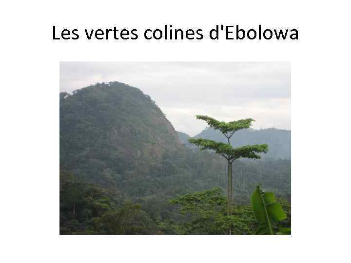 Les vertes colines d'Ebolowa 