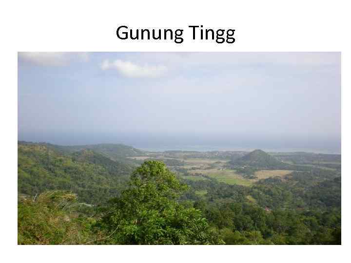 Gunung Tingg 