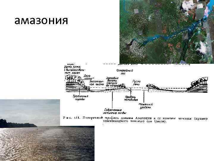 амазония 