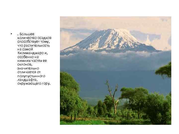  • . Большее количество осадков способствует тому, что растительность на самой Килиманджаро и,