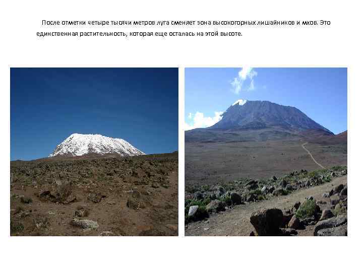  После отметки четыре тысячи метров луга сменяет зона высокогорных лишайников и мхов. Это