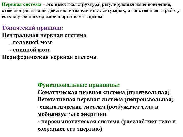 Нервная система – это целостная структура, регулирующая наше поведение, отвечающая за наши действия в