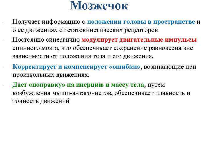 Мозжечок - - • • Получает информацию о положении головы в пространстве и о