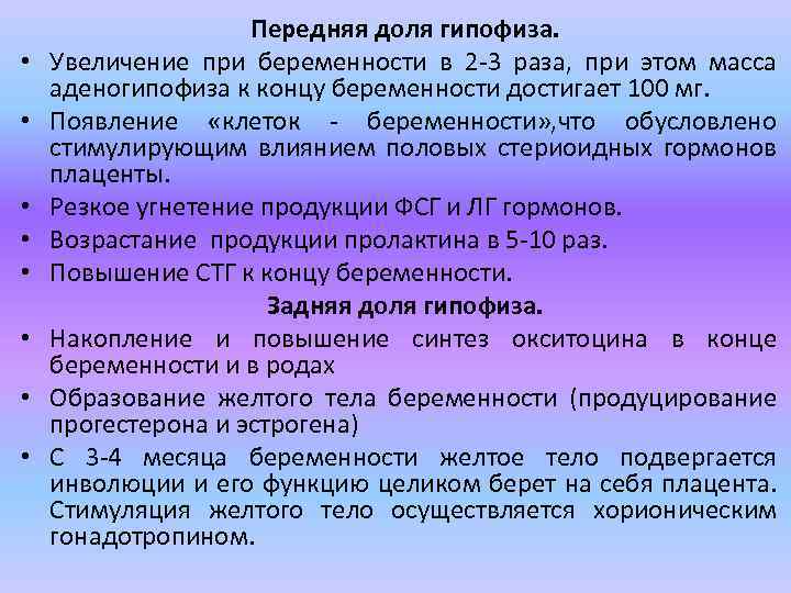  • • Передняя доля гипофиза. Увеличение при беременности в 2 -3 раза, при