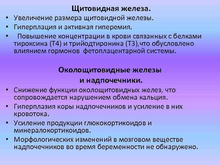 Щитовидная железа. • Увеличение размера щитовидной железы. • Гиперплация и активная гиперемия. • Повышение