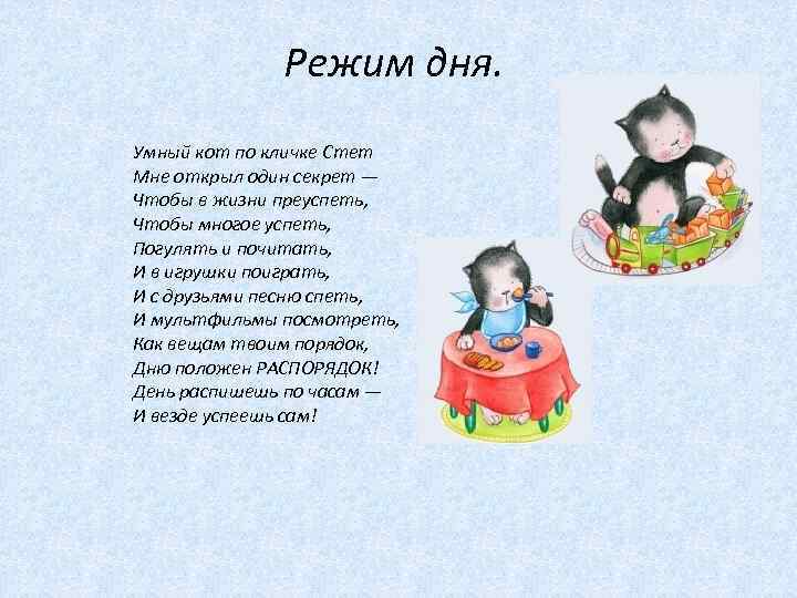  Режим дня. Умный кот по кличке Стет Мне открыл один секрет — Чтобы