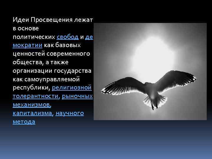 Идеи Просвещения лежат в основе политических свобод и де мократии как базовых ценностей современного