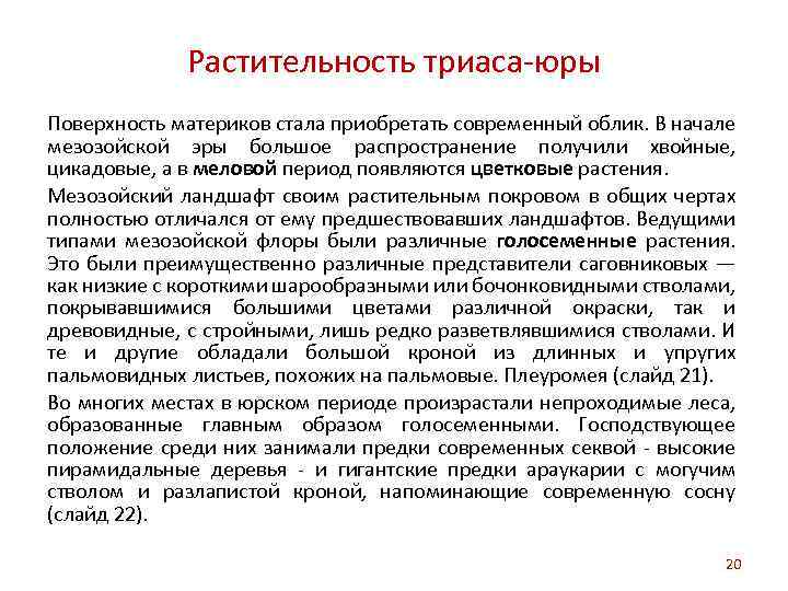 Растительность триаса-юры Поверхность материков стала приобретать современный облик. В начале мезозойской эры большое распространение