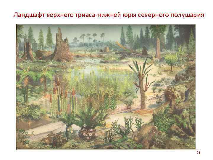 Ландшафт верхнего триаса-нижней юры северного полушария 21 