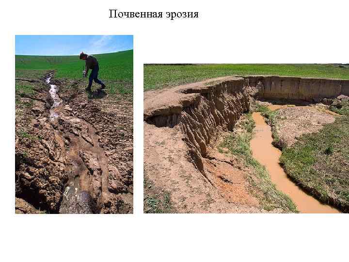 Почвенная эрозия 