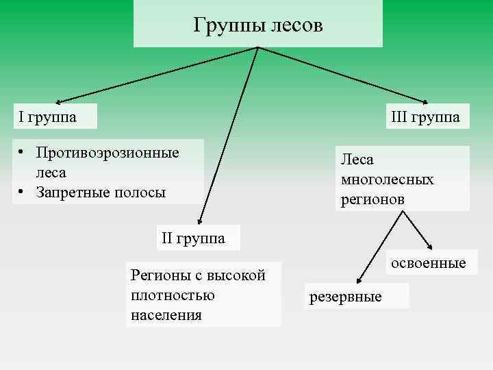 Три группы лесов. Группы лесов. Три группы леса. Группы лесов лесного фонда. Три группы лесов России.