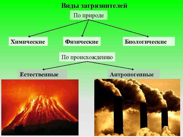 Виды загрязнителей По природе Химические Физические Биологические По происхождению Естественные Антропогенные 