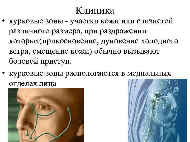 Клиника • курковые зоны - участки кожи или слизистой различного размера, при раздражении которых(прикосновение,