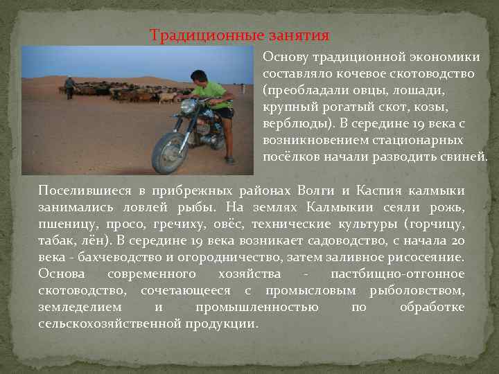 Традиционные занятия Основу традиционной экономики составляло кочевое скотоводство (преобладали овцы, лошади, крупный рогатый скот,