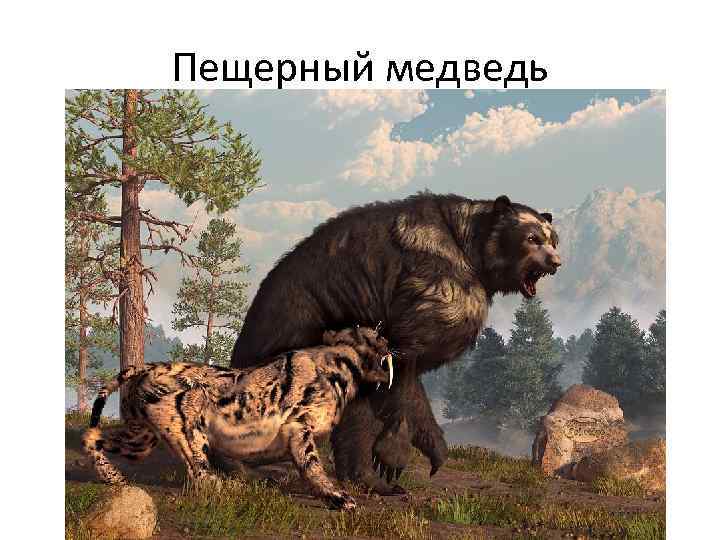 Пещерный медведь 