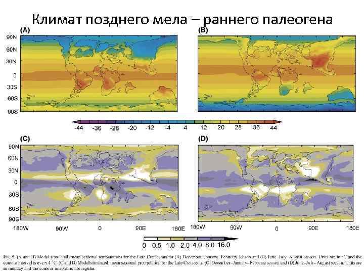 Климат позднего мела – раннего палеогена 