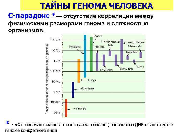 Сколько генетических