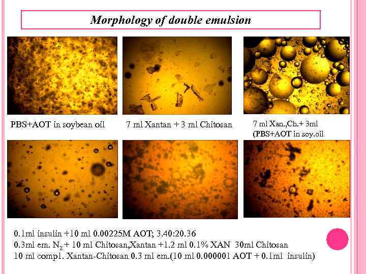 Morphology of double emulsion PBS+AOT in soybean oil 7 ml Xantan + 3 ml