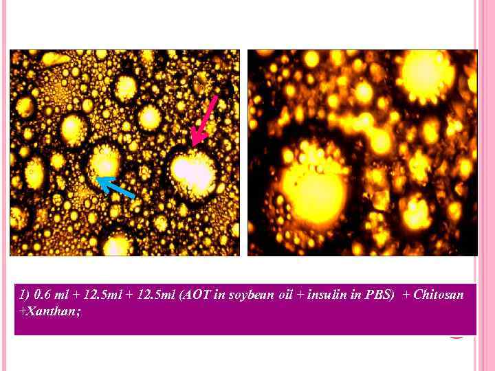 1) 0. 6 ml + 12. 5 ml (AOT in soybean oil + insulin