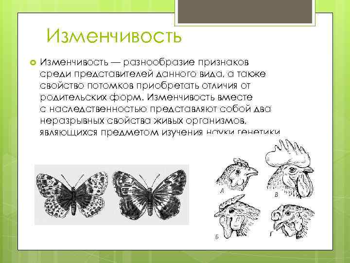 Изменчивость — разнообразие признаков среди представителей данного вида, а также свойство потомков приобретать отличия