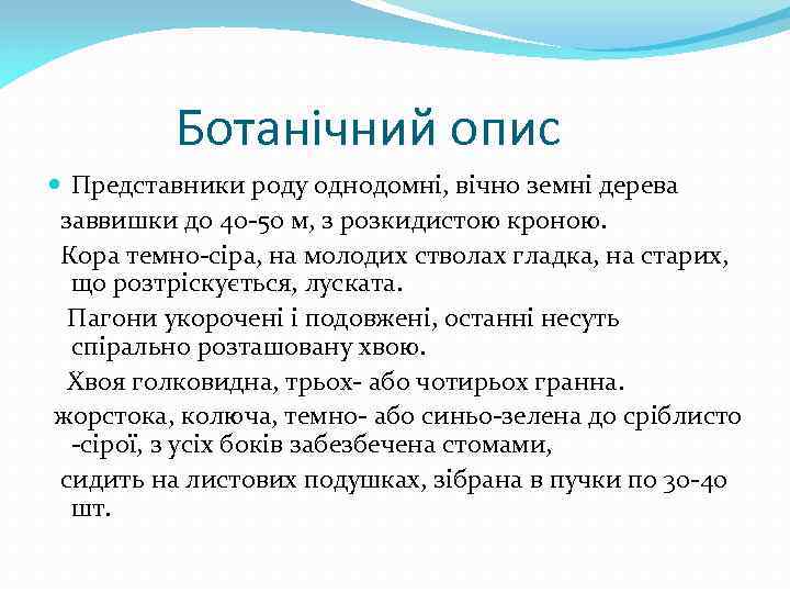 Ботанічний опис Представники роду однодомні, вічно земні дерева заввишки до 40 -50 м, з