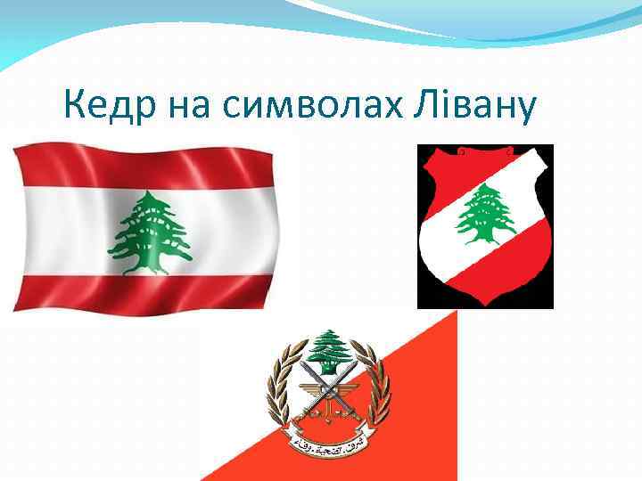 Кедр на символах Лівану 