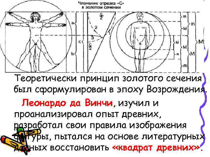 Теоретически принцип золотого сечения был сформулирован в эпоху Возрождения. Леонардо да Винчи, изучил и