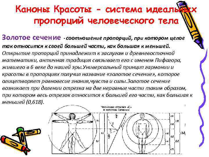 Каноны Красоты - система идеальных пропорций человеческого тела Золотое сечение - соотношение пропорций, при
