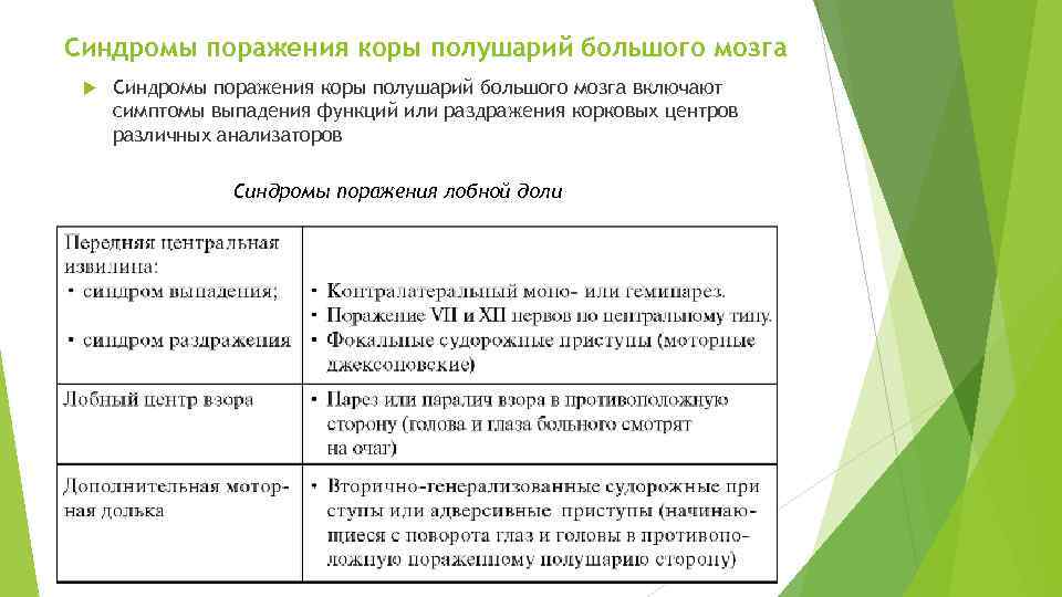 Синдромы поражения коры полушарий большого мозга включают симптомы выпадения функций или раздражения корковых центров