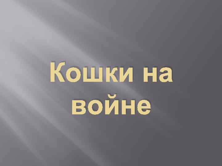 Кошки на войне 