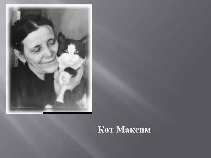 Кот Максим 