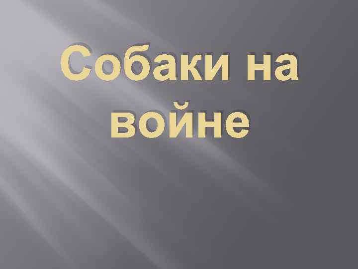 Собаки на войне 