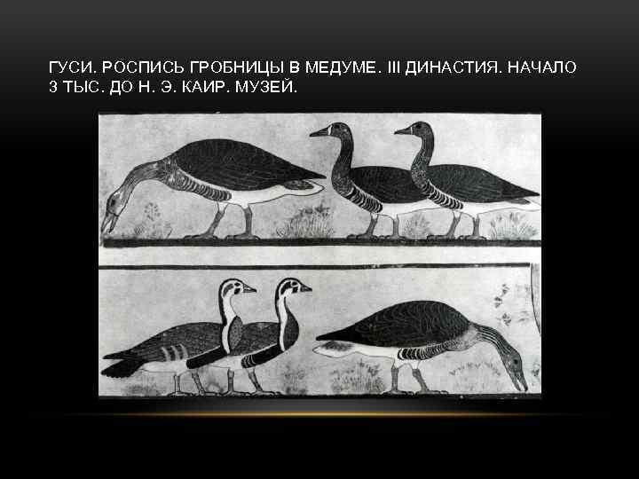 ГУСИ. РОСПИСЬ ГРОБНИЦЫ В МЕДУМЕ. III ДИНАСТИЯ. НАЧАЛО 3 ТЫС. ДО Н. Э. КАИР.